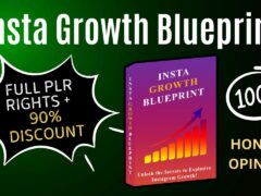 Insta Growth Blueprint PLR